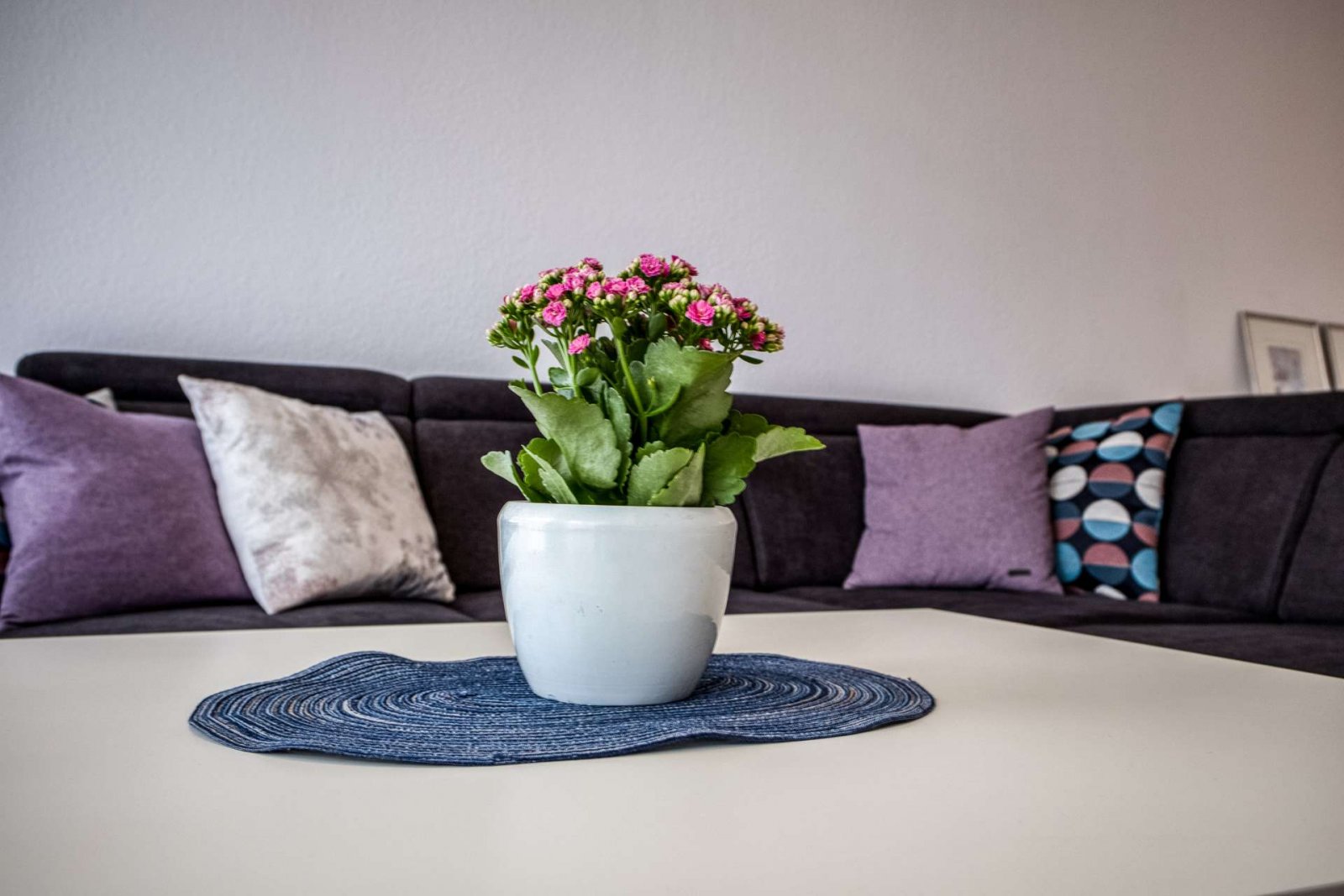 *VERKAUFT* Urban. Sicher. Besonders – Ihre Rückzugsoase mitten in der Neustadt * keine Käuferprovision