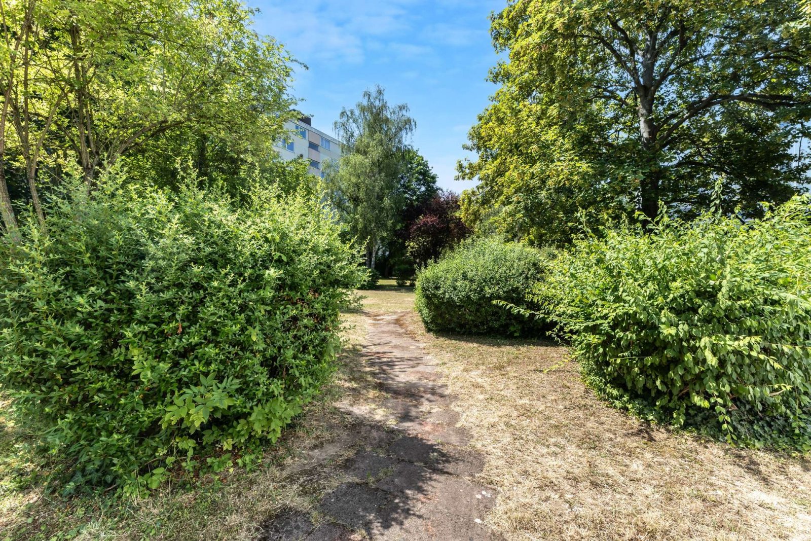 Ankommen, einrichten, wohlfühlen: 4-Zimmer-Wohnung in der Mainzer Oberstadt * keine Käuferprovision