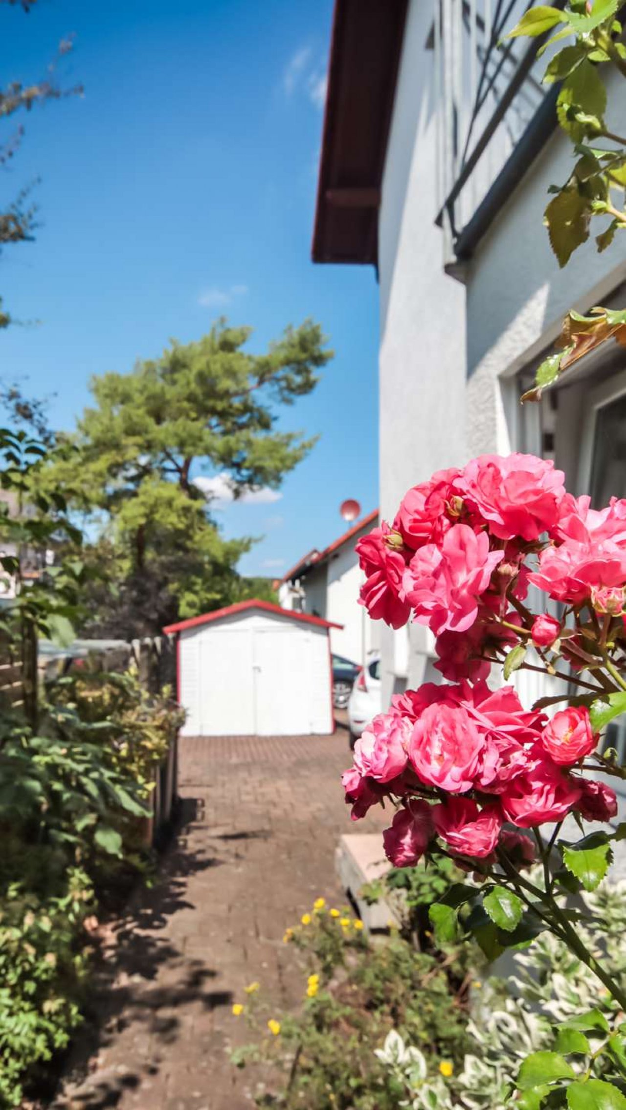 Garten Garten