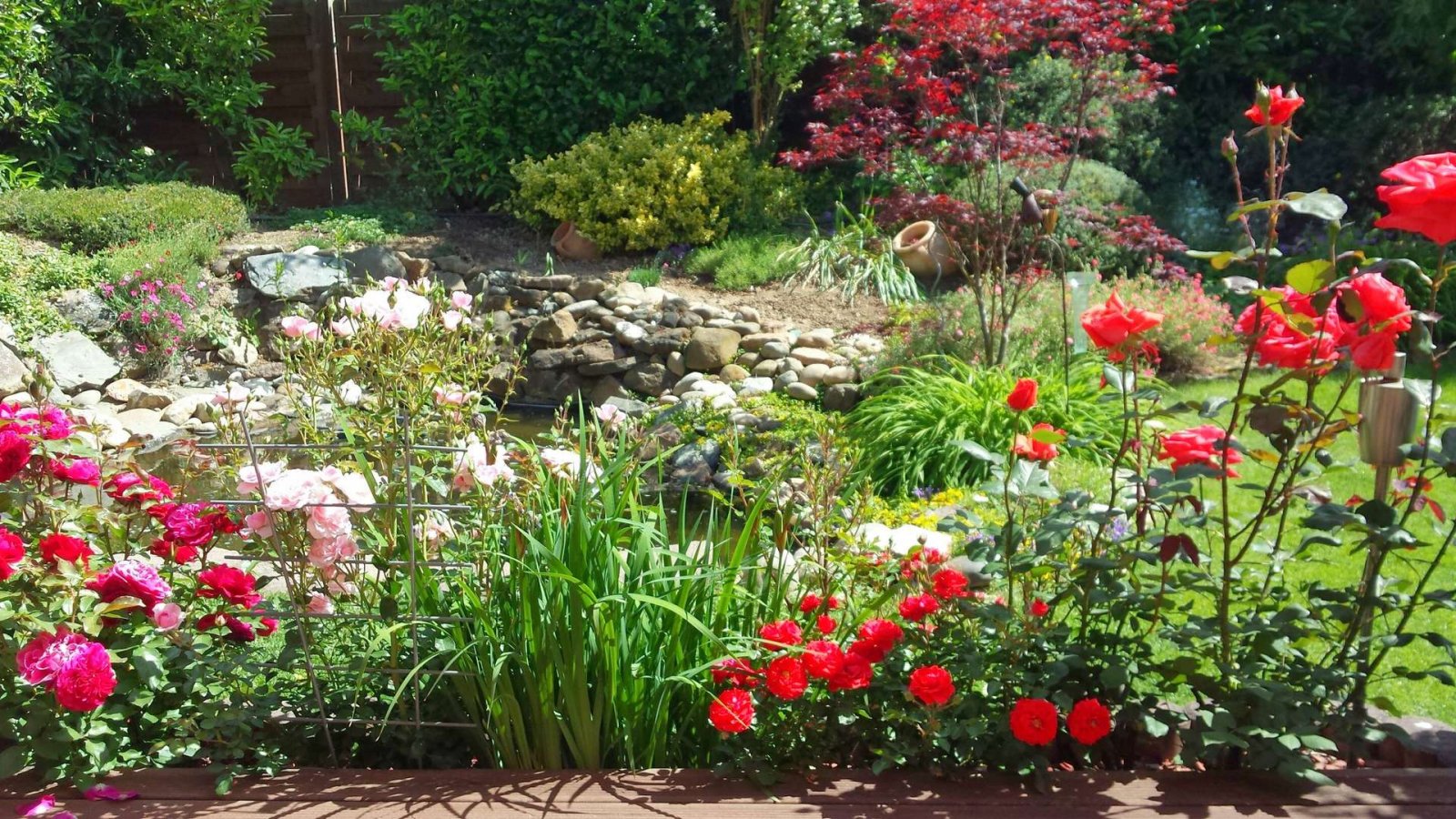 Garten im Sommer