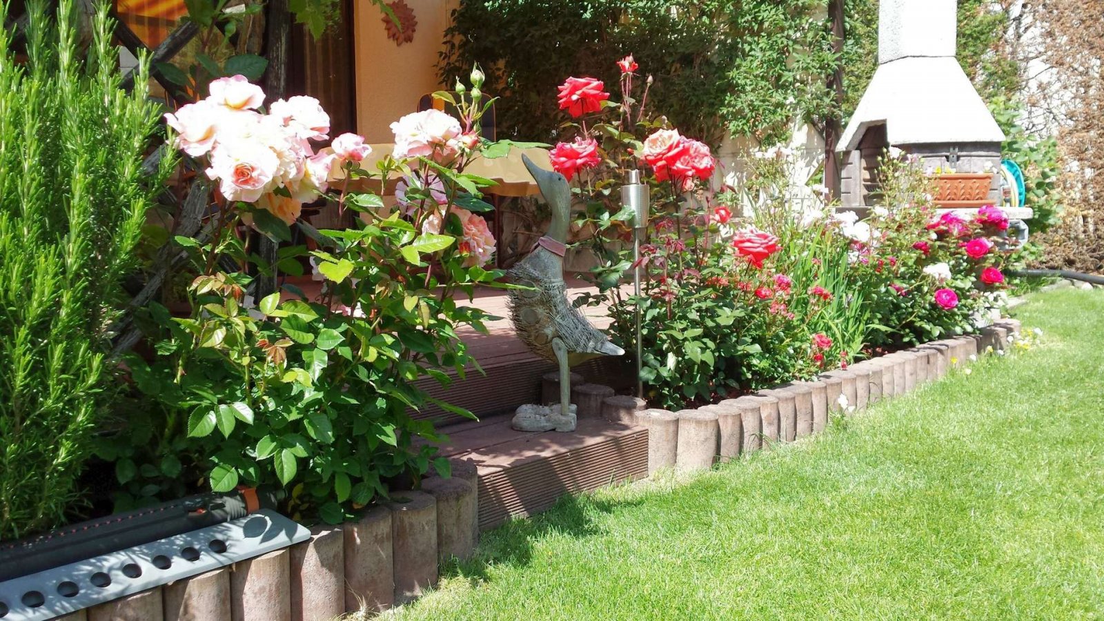 Garten im Sommer