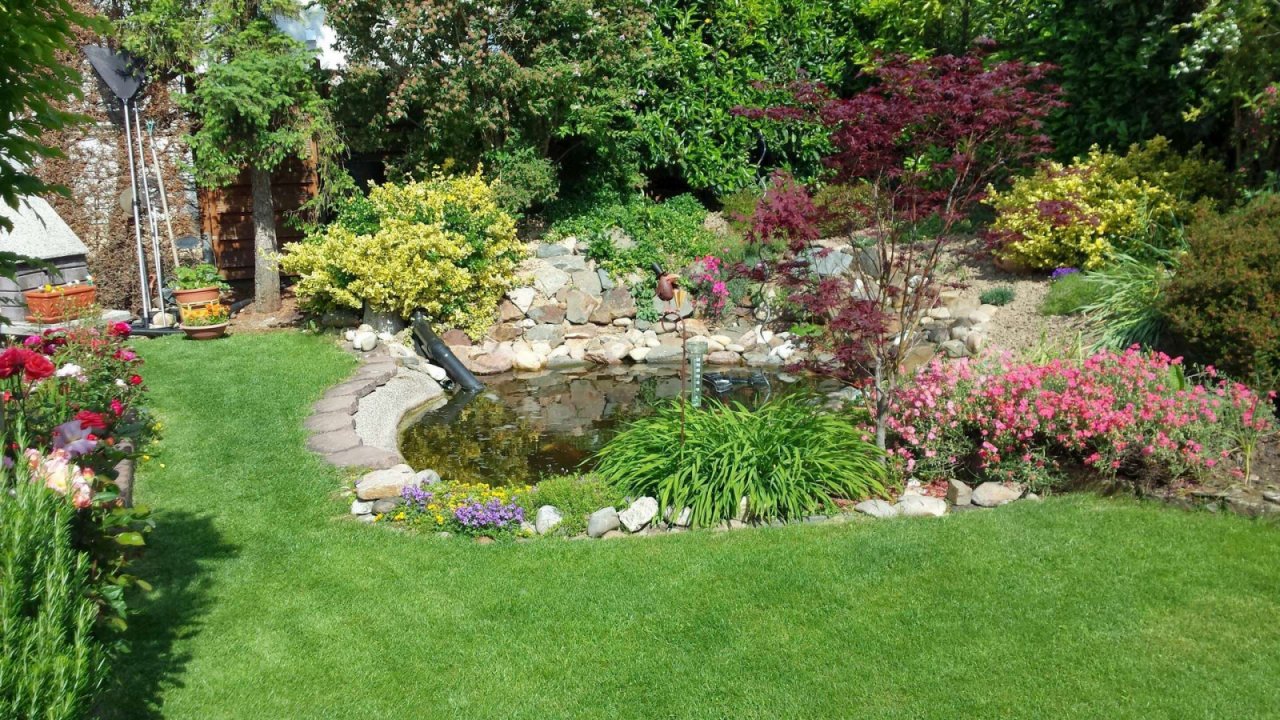 Garten im Sommer