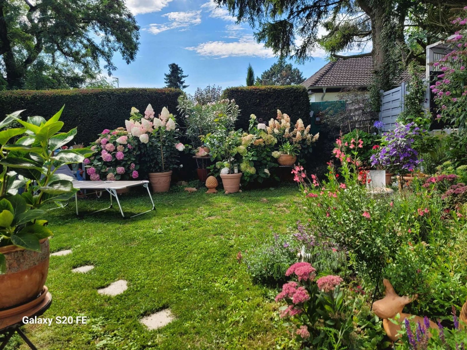 Garten im Sommer