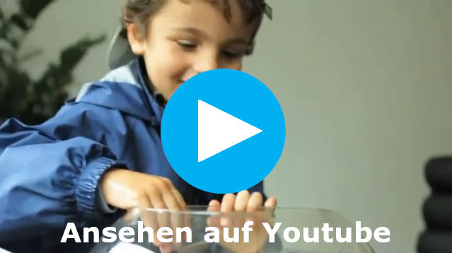 zu Video in Youtube